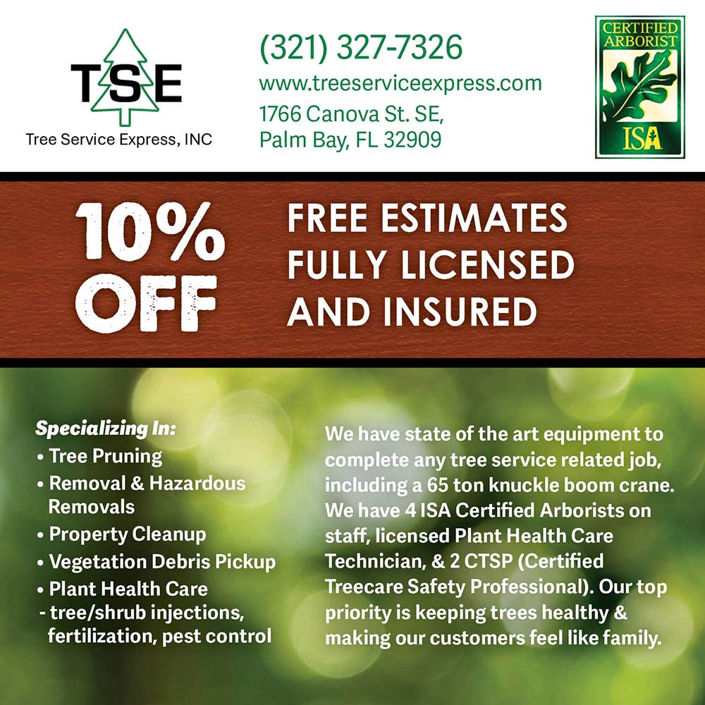 Tree Service Express